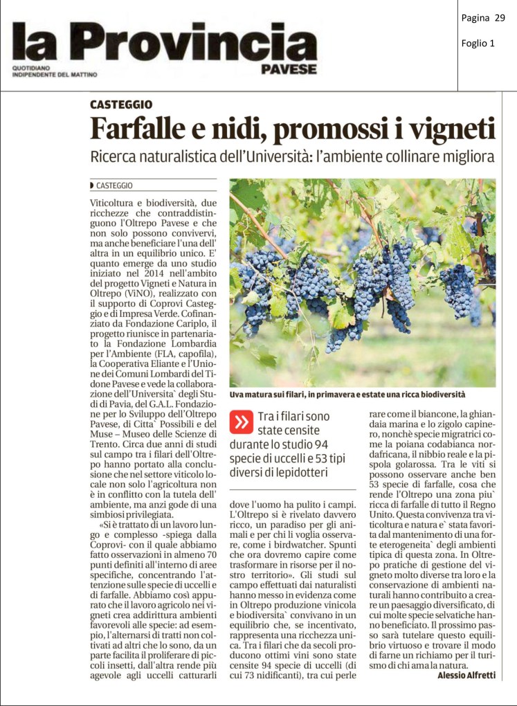 2016_12_06_Farfalle e nidi, promossi i vigneti (Provincia Pavese).jpg