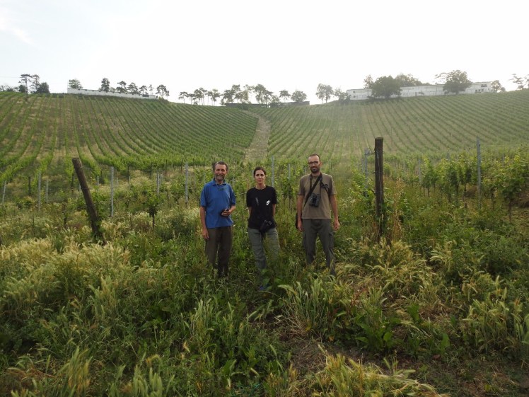 monitoraggio Mattia Dal Verme.JPG